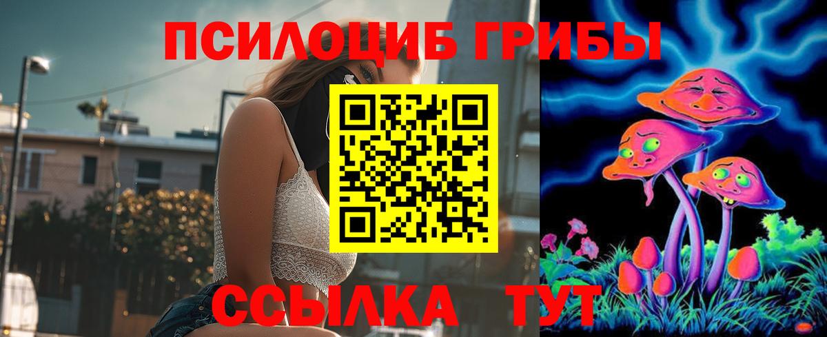 Псилоцибиновые грибы прущие грибы Усолье-Сибирское